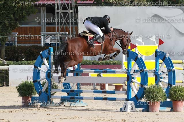 FALZINI_REMBRANDO_GIO CAV 2011_SS3_0619.jpg